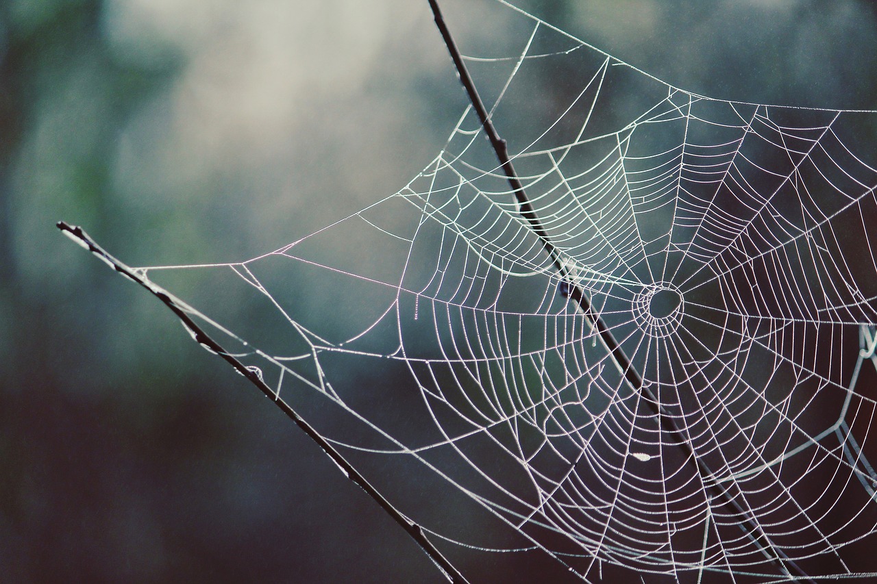 Domain aufräumen - Spinnweben sind weg