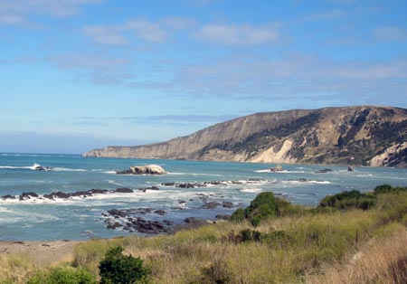 Costal Pazifik - Die Ostüste von Neuseeland